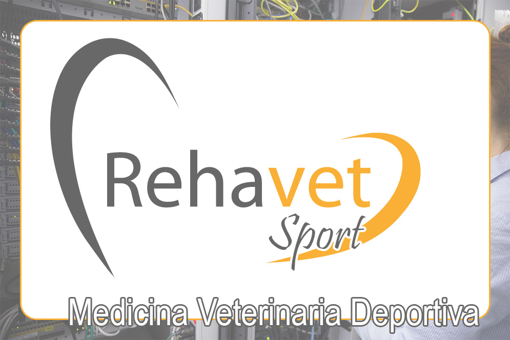 re_terapias_veterinaria